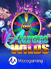 aurora-wilds