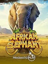 african-elephant